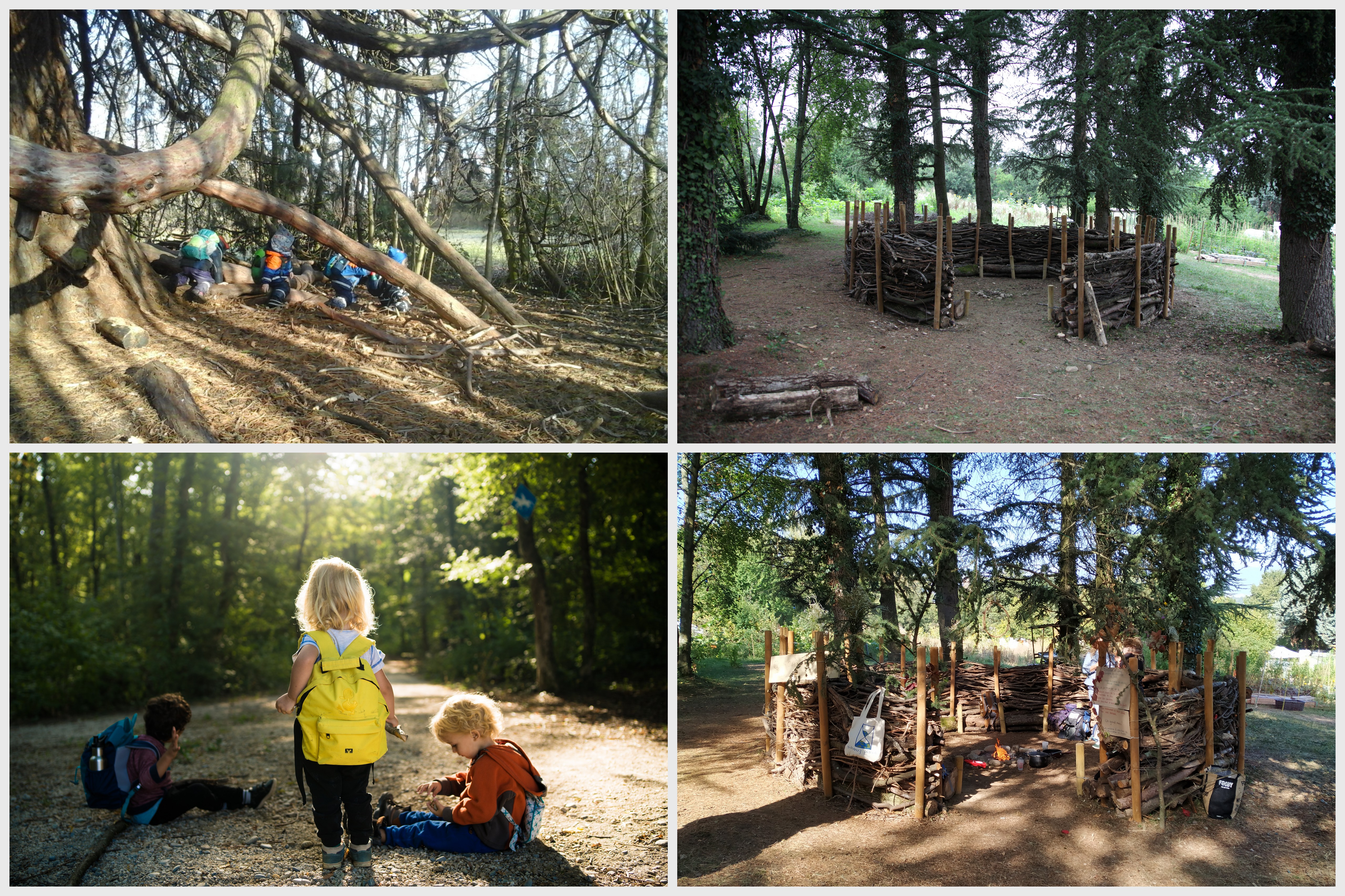 Éco-crèche en forêt et Mercredi nature pour les écoliers-ères
